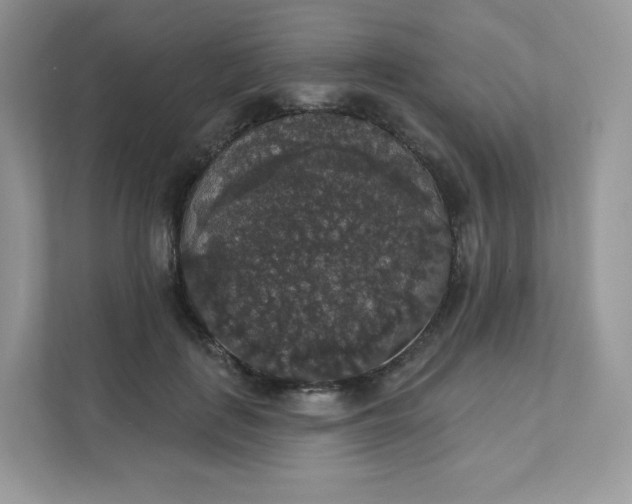 X0000111590651200907301427