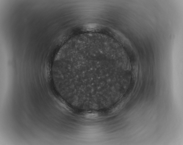 X0000111590653200907301427