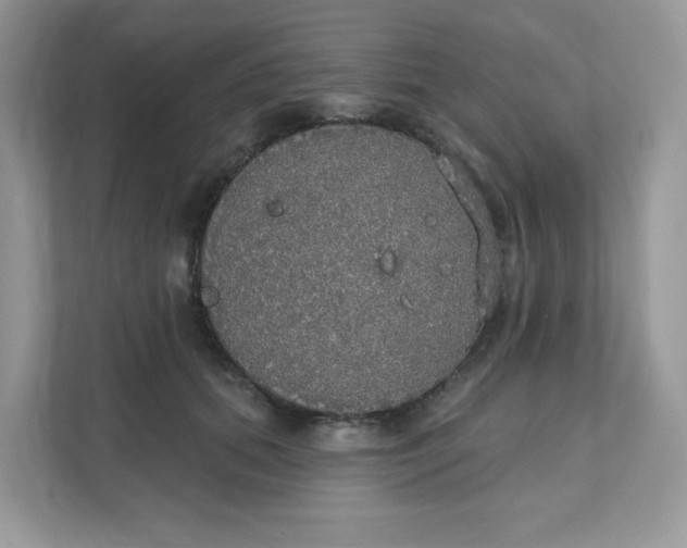 X0000111590655200907301427