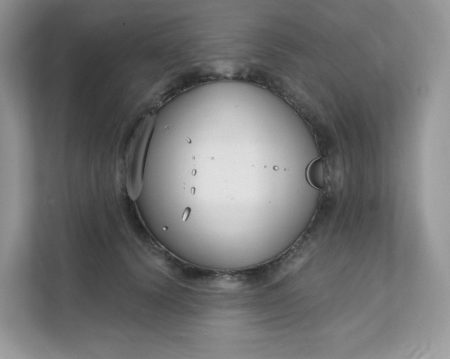 X0000111590656200907301427