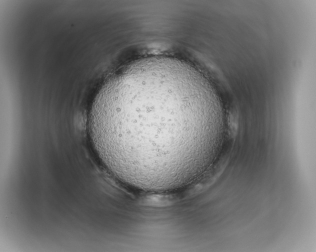 X0000111590657200907301427