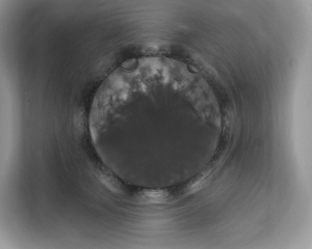 X0000111590659200907301427