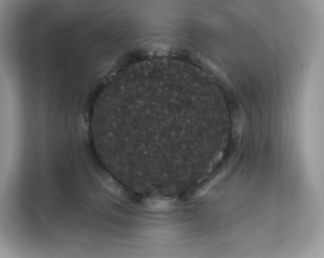 X0000111590661200907301427