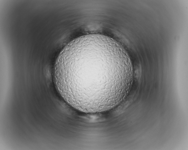 X0000111590662200907301427