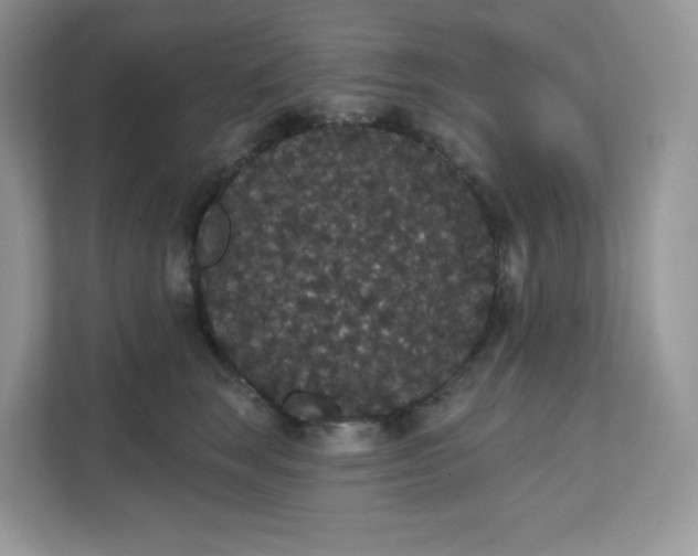 X0000111590663200907301427