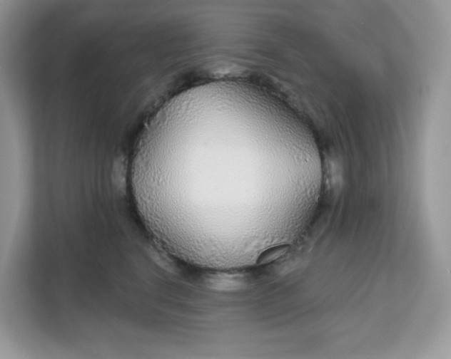 X0000111590664200907301427