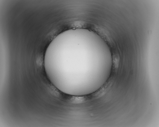 X0000111590665200907301427