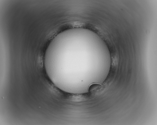 X0000111590666200907301427