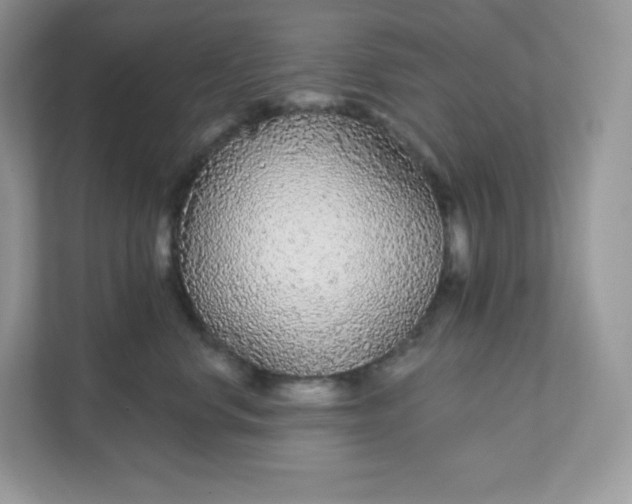 X0000111590668200907301427