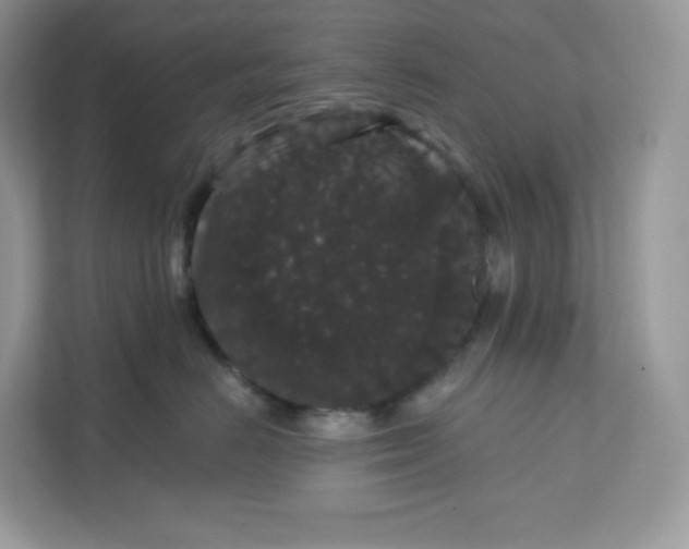 X0000111590670200907301427