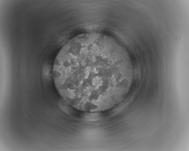 X0000111590671200907301427