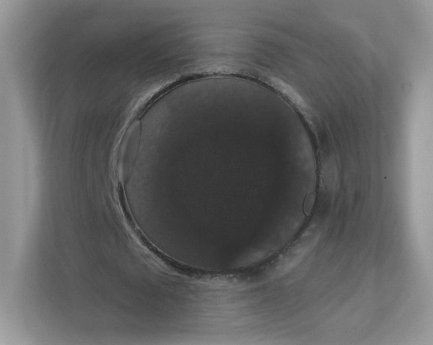 X0000111590673200907301427