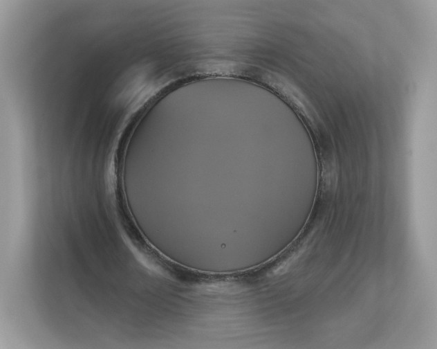 X0000111590674200907301427