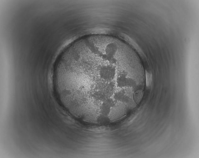 X0000111590675200907301427