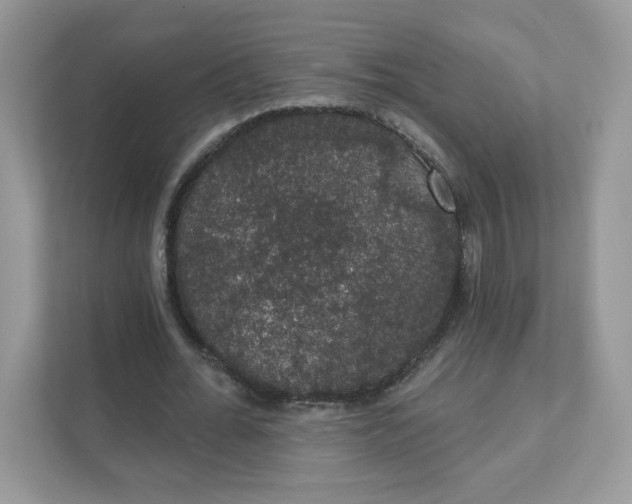 X0000111590676200907301427