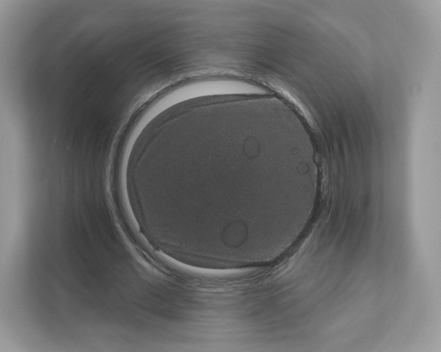 X0000111590677200907301427