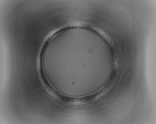 X0000111590678200907301427