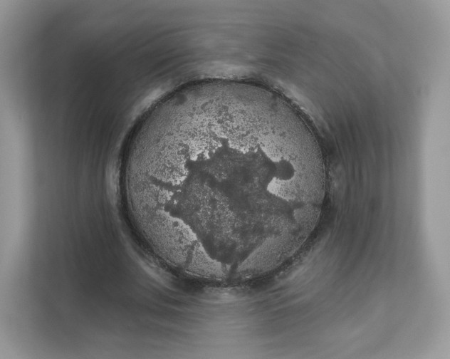 X0000111590679200907301427