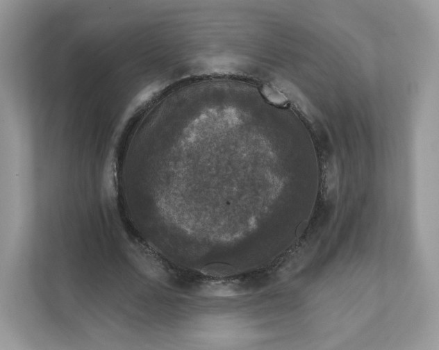 X0000111590680200907301427