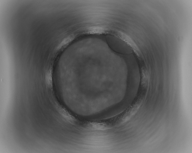 X0000111590681200907301427