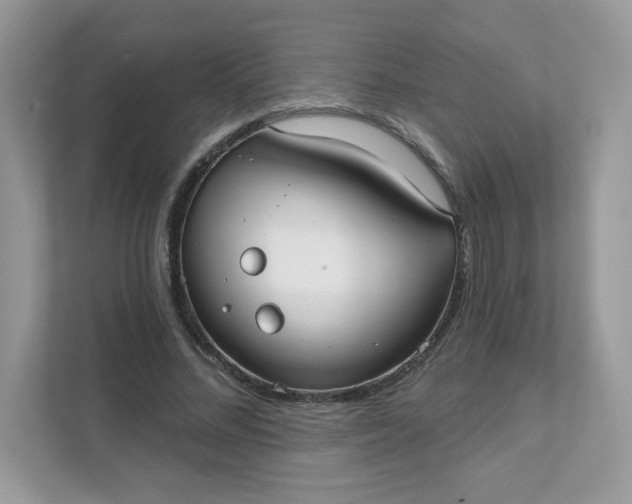 X0000111590684200907301427