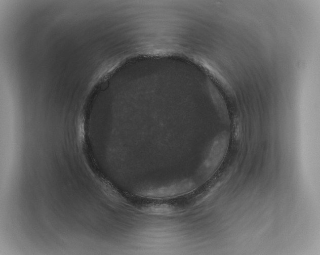 X0000111590685200907301427