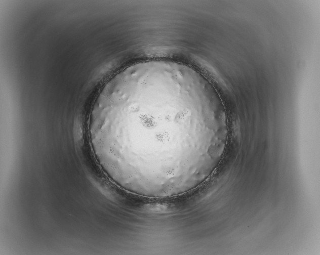 X0000111590687200907301427