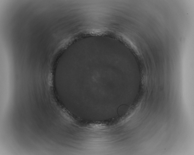 X0000111590689200907301426