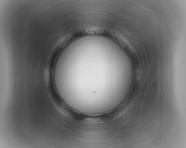 X0000111590690200907301426