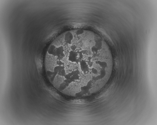 X0000111590691200907301426