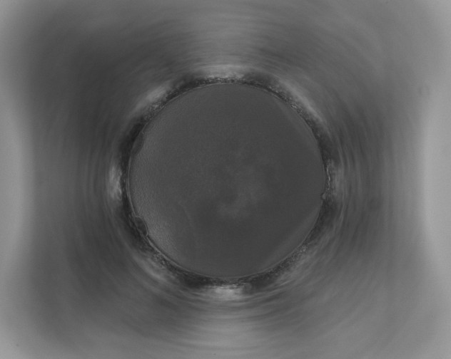 X0000111590692200907301426