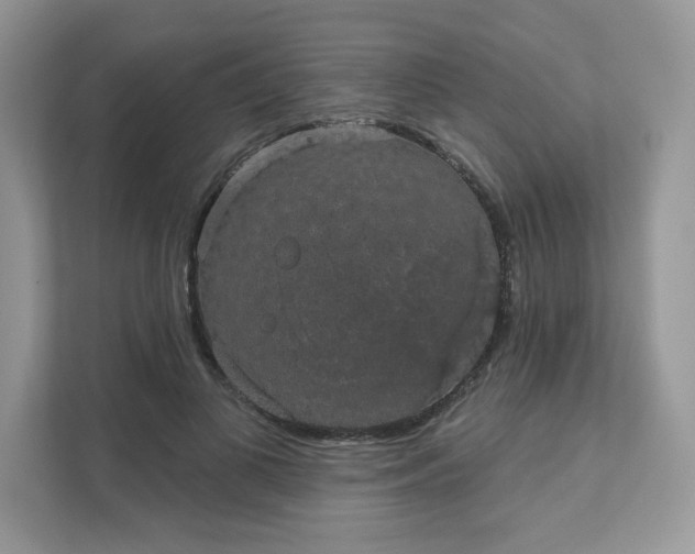 X0000111590693200907301426