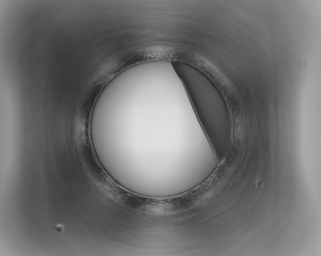 X0000111590696200907301426