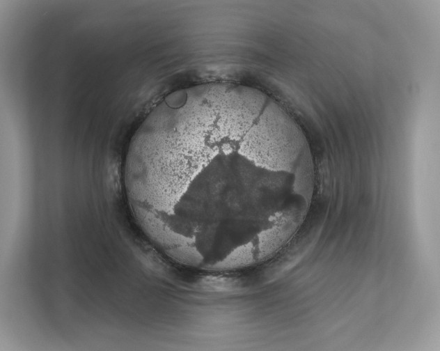 X0000111590699200907301426