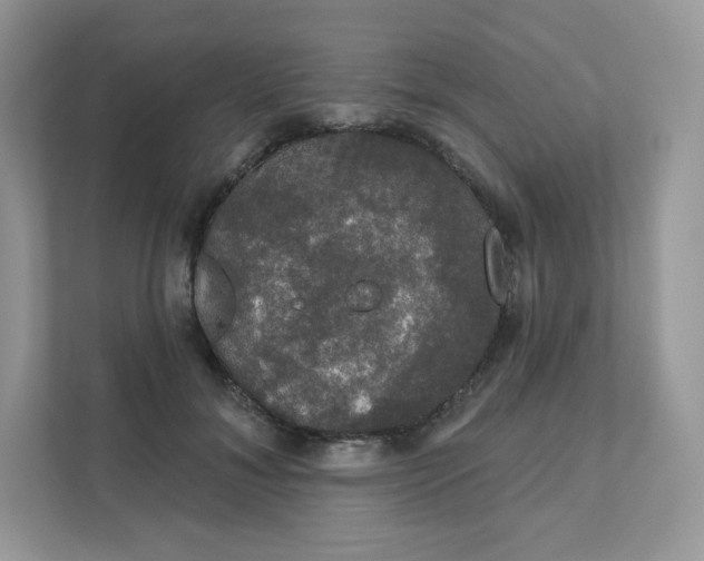 X0000111590700200907301426