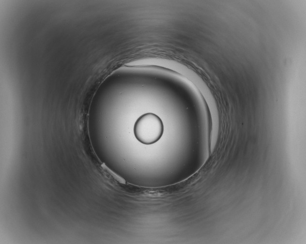 X0000111590701200907301426