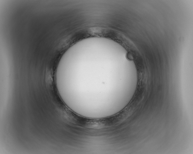 X0000111590702200907301426