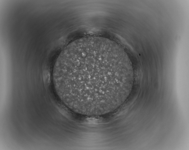 X0000111590703200907301426