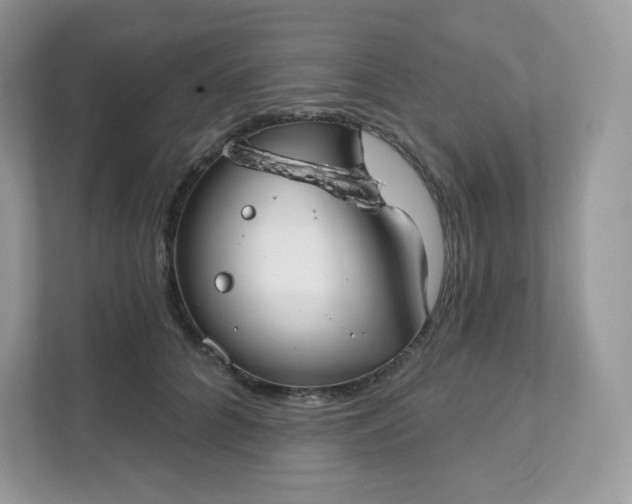 X0000111590704200907301426