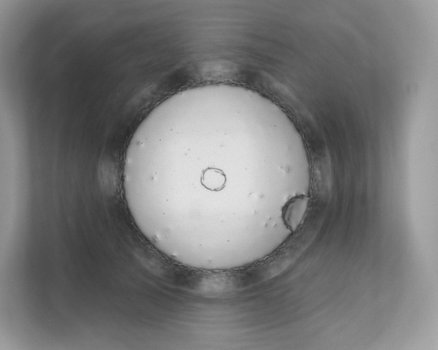 X0000111590705200907301426