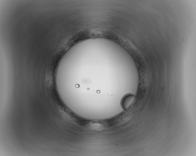 X0000111590706200907301426