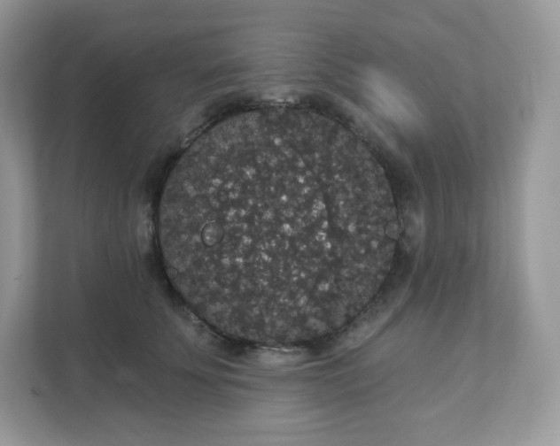 X0000111590707200907301426