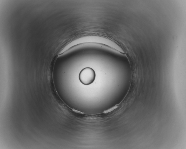 X0000111590708200907301426