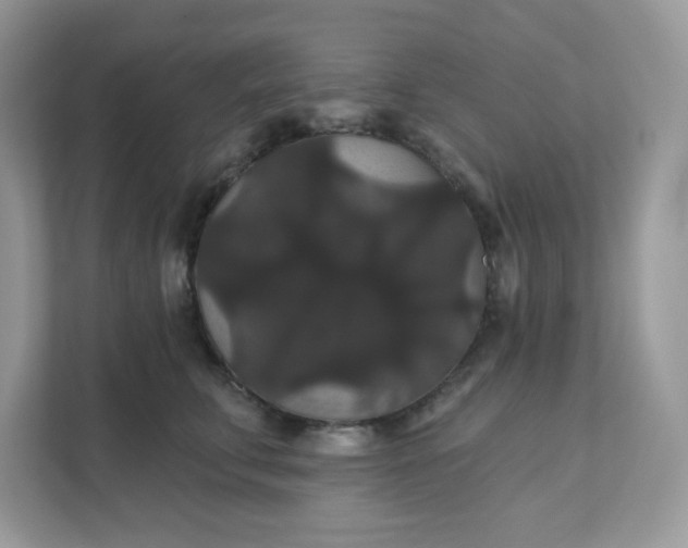 X0000111590711200907301426