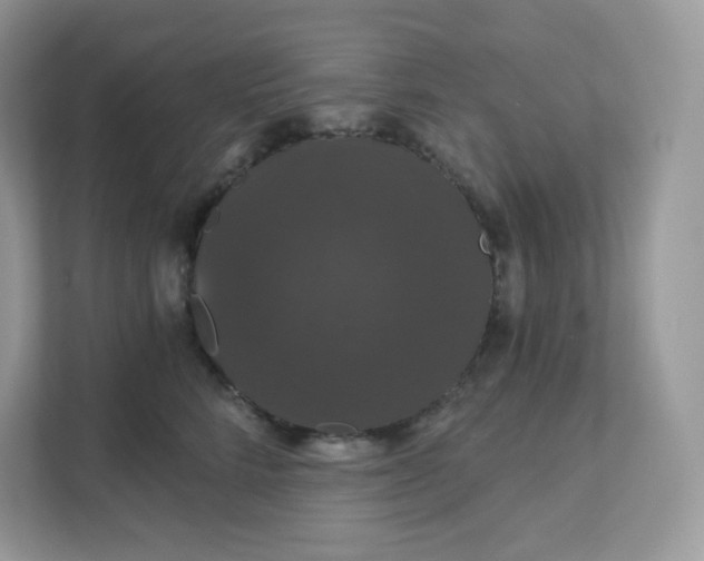 X0000111590712200907301426