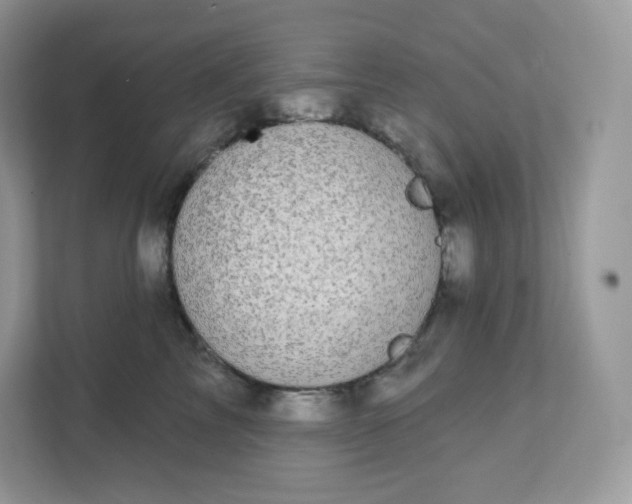 X0000111590713200907301426