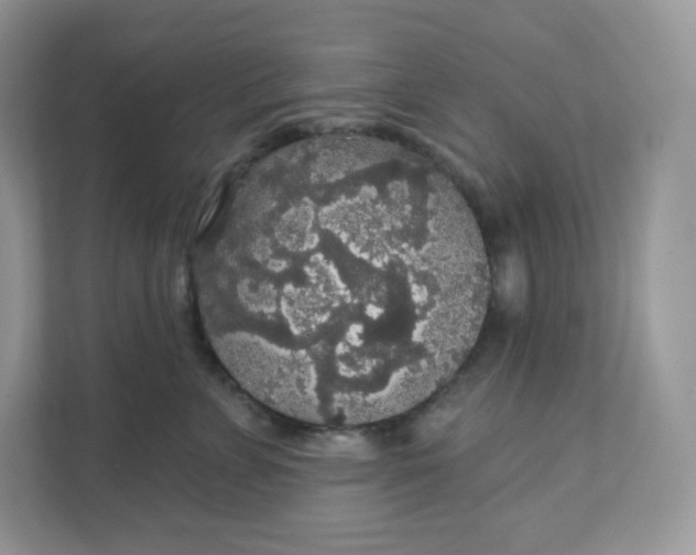 X0000111590715200907301426