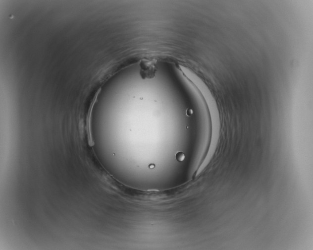 X0000111590716200907301426