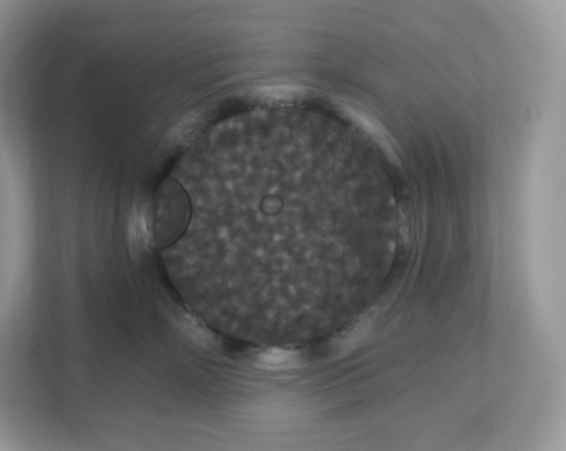 X0000111590718200907301426