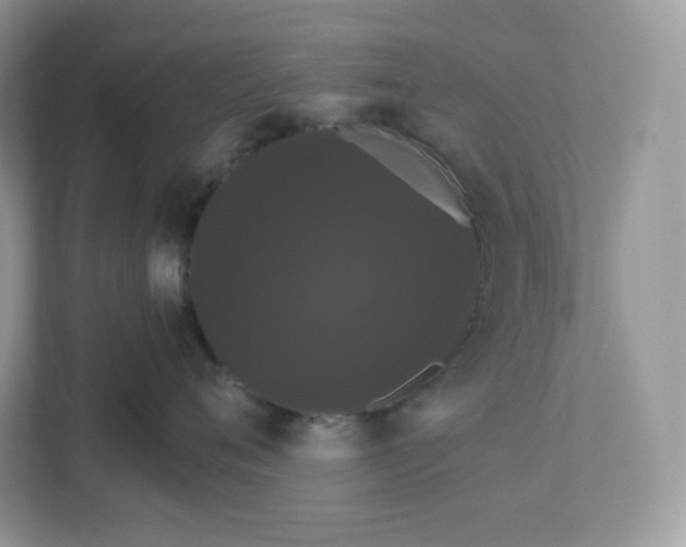 X0000111590720200907301426